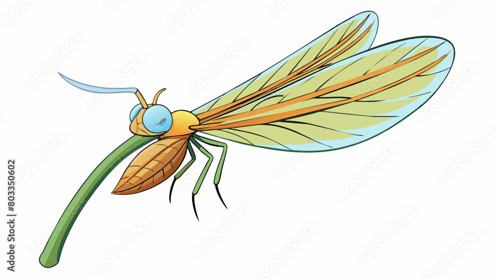 Poster a thin elongated insect with a thin curved body and a long needlelike proboscis. its wings are almos