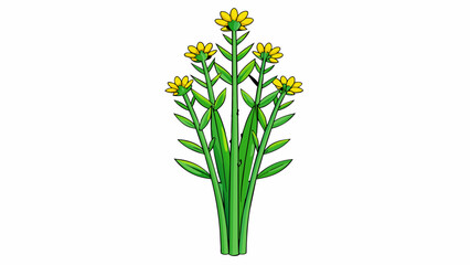 The second illustration is of a tall green plant with long narrow leaves. Its stem is thick and sy and it has bright yellow flowers growing on the. Cartoon Vector