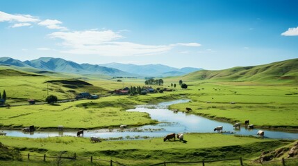 Fototapeta premium Cows grazing in a lush green field near a river in the countryside
