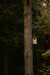 birdhouse on tree