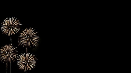 Fototapeta premium Vivid fireworks light up the dark night sky with a spectacular display of dazzling colors