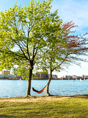 hammock between the trees at the river coast, city escape, online detox