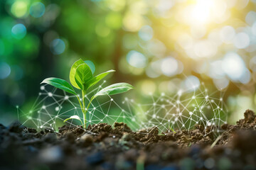 A young sapling emerges from fertile soil, overlaid with digital network lines, illustrating the integration of technology with nature for sustainability and growth.