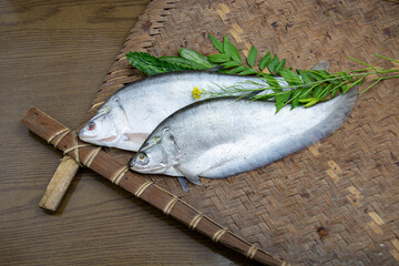 Foli fish or notopterus featherback fish on Bamboo tray with curry leaves. Bronze featherback. pond...