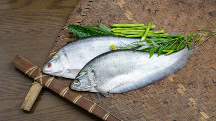Foli fish or notopterus featherback fish on Bamboo tray with curry leaves. Bronze featherback. pond fish, Phouli.