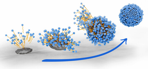 Soap molecules surrounding and capturing dirt forming micelles. The hydrophobic tail is attracted to grease and oily substances and the hydrophilic head is attracted to water. 3d illustration