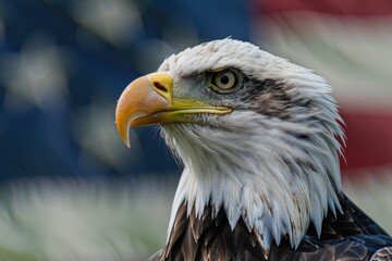 Eagle with USA flag in the background, concept of American independence, July 4th, Independence Day, American Flag.