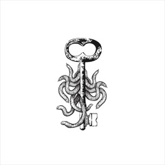 Key with snakes. Spot work. Vector hand drawn illustration. Tattoo illustration, modern surreal art.