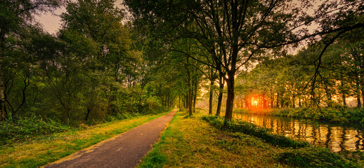 Sunset light coming through the trees in rural Noord-Brabant, The Netherlands. Featuring a typical...