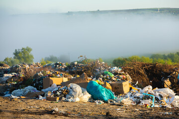 Pile of garbage in the forest. The concept of environmental pollution.