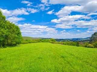 Blue sky and beautiful cloud with meadow tree. Plain landscape background