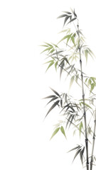 PNG  Bamboo leaves backgrounds plant cannabis.