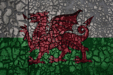 flag of wales on a grunge vintage metal rusty cracked wall background