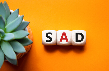 Sad symbol. Wooden cubes with words Sad. Beautiful orange background with succulent plant. Business...