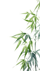 Fototapeta premium PNG Bamboo leaves backgrounds plant leaf.