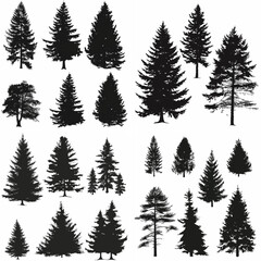 black tree silhouette set pure badge eco outline recreation breath emblem label protection graphic pine trunk woodland