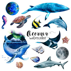 A set of watercolor paintings showcasing oceanic organisms in shades of azure, blue, and electric blue. Each fish, fin, and organism is beautifully captured in aqua hues, creating stunning art. PNG