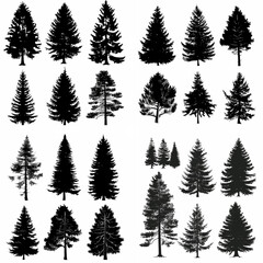 black tree silhouette set pure badge eco outline recreation breath emblem label protection graphic pine trunk woodland