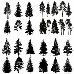 black tree silhouette set pure badge eco outline recreation breath emblem label protection graphic pine trunk woodland