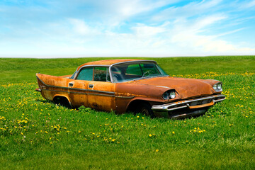 An old, rusty 1950s  parked in a field of yellow flowers under a clear blue sky.