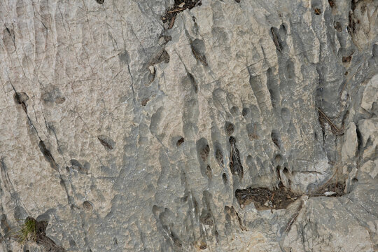 Roche des falaises des calanques &agrave; Marseille