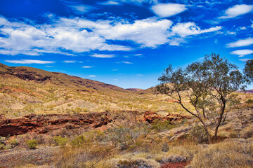Hilly savanna landscape with red rocks, withered grasses and small trees in the eastern part of the Pilbara, Western Australia