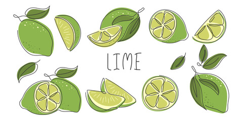 Collection of limes whole, half, slice, piece. Abstract continuous line drawn green tropical citrus fruit isolated on white. Lime various for design. Healthy vitamin food