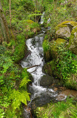 The Gaishöll waterfalls near Sasbachwalden in the Black Forest. Baden Wuerttemberg, Germany, Europe.