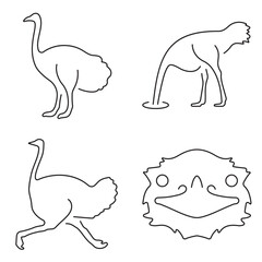 ostrich group of black icons on a white background. Vector illustration.