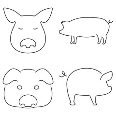 pig group of black icons on a white background. Vector illustration.