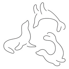 seal group of black icons on a white background. Vector illustration.