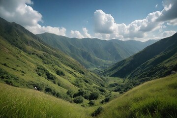 Obraz premium landscape in summer