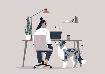 A Serene Afternoon in the Home Office With a Loyal Border Collie, A person works at a desk accompanied by a dog seeking for attention - obrazy, fototapety, plakaty