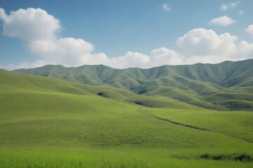 Obraz premium field and sky