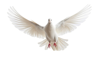 White dove with gracefully outstretched wings, isolated on a transparent background