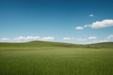 Obraz premium green field and blue sky