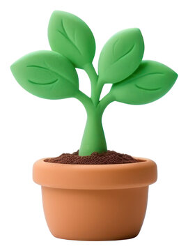 PNG  Little plant leaf white background cultivated.
