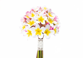 Bridal bouquet of white and pink frangipani and plumeria flowers with green stems and white satin ribbon, isolated on white background