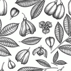 Hand drawn sketch style ackee seamless pattern. Organic fresh food vector illustration. Retro exotic fruit  background.