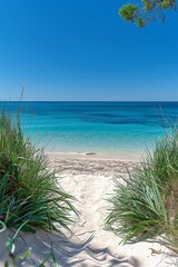 Sandy Beach With Blue Water and Grass