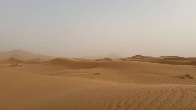 Merzouga desert at dawn with mist
