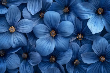 Cluster of Blue Flowers With Yellow Centers