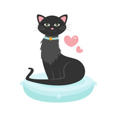 Cartoon black cat sitting on a pillow vector illustration graphic