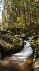 Mountain stream in the forest with rocks and moss on the ground
