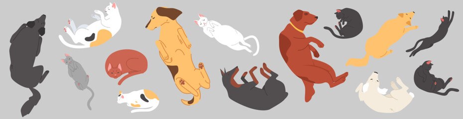 Obraz premium Cute sleeping pets top view set with cats and dogs lying in different pose vector illustration isolated on white background. Relaxed domestic animals, lazy puppy and kitten cartoon characters