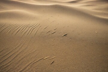 footprint in the sand