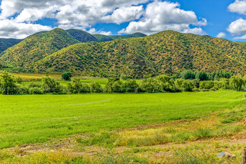 Green field next to the Kruis River with green hills in the Little Karoo after rain near Oudtshoorn, Western Cape, South Africa
