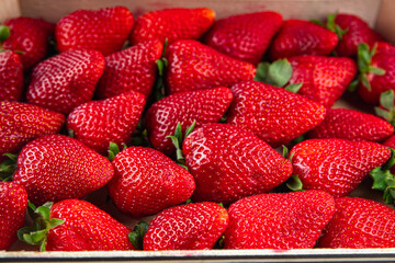 strawberry fresh ripe red berries Cooking appetizer meal food snack on the table copy space food background rustic top view keto or paleo diet vegetarian vegan food