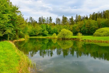 View of Rak river with a reflection of the trees in the water in summer at Rakov Škocjan, Notranjska, Slovenia