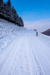 Fototapeta premium neve